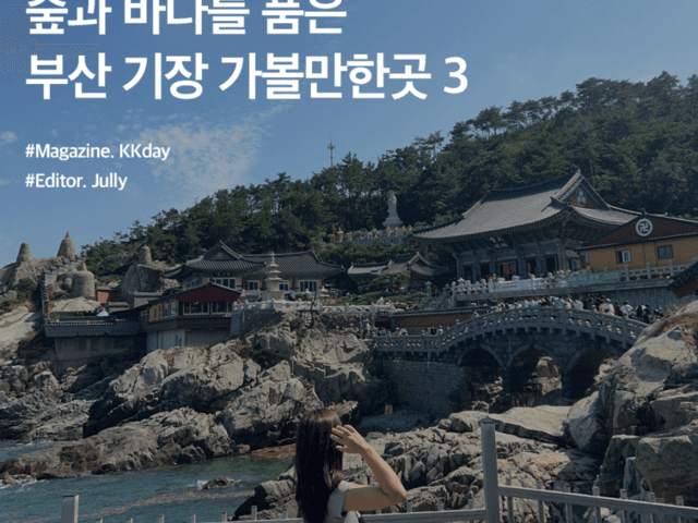 부산 자유 여행 :: 숲과 바다를 품은 기장 가볼만한곳 3