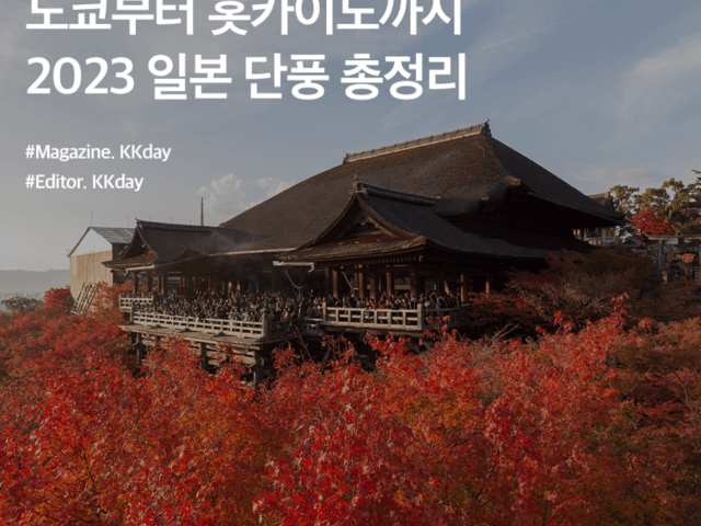 12월까지 단풍 시즌! 2023 일본 단풍시기 총정리