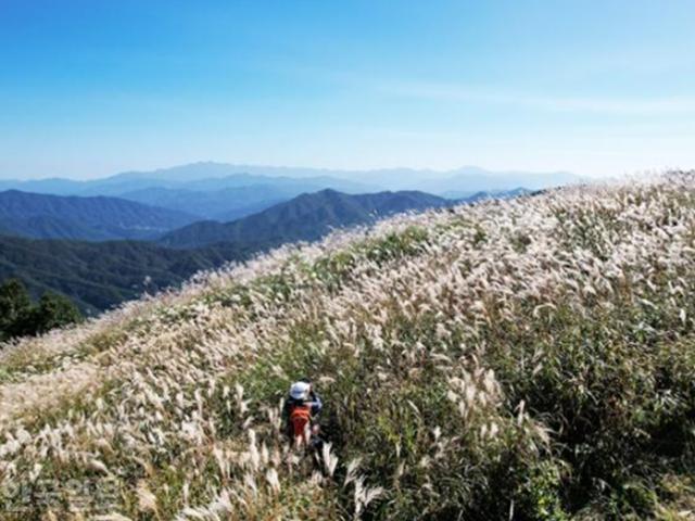 지리산과 <strong>덕유산</strong> 사이 억새 능선... 그 아래 문명과 거리 둔 산골마을