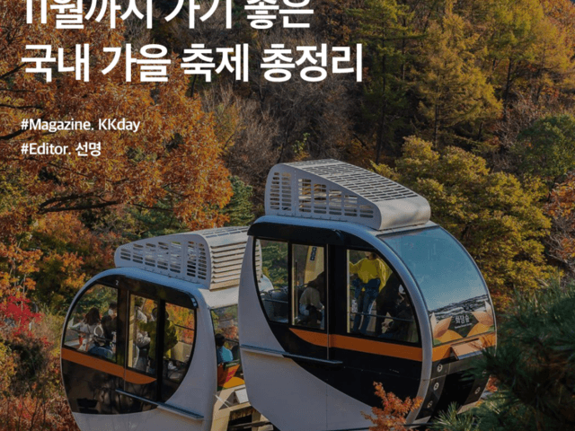 11월까지 가기 좋은 2023 <strong>가을</strong> <strong>축제</strong> 총정리