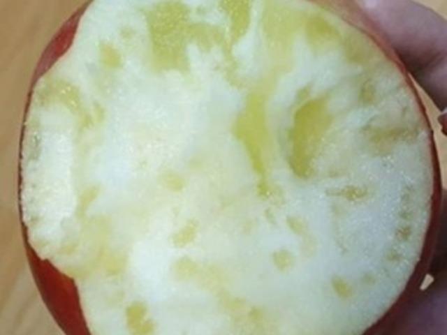 "꿀이라던데.." 사과와 배 과실에 누런 얼룩 진짜 먹어도 되는걸까?