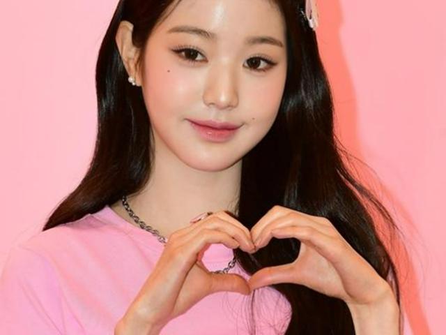 "연예인도 사람인데" 기안84→박서준·<strong>장원영</strong>, 팬서비스 거부 논란…★들 향한 가혹한 잣대