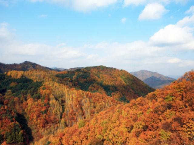 카드 매출로 본 단풍의 <strong>경제학</strong>…'이 산'에 무슨 일이?