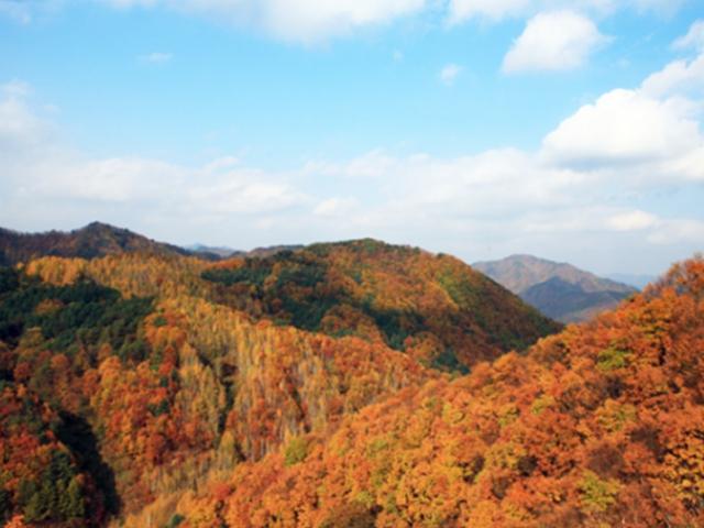 카드 매출로 본 단풍의 경제학…'이 산'에 무슨 일이?