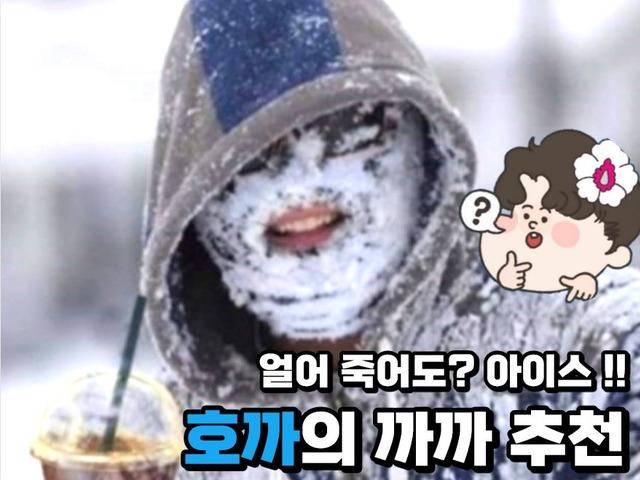 호기심까까가 추천하는 뇌까지 시원해지는 간식 TOP 6  