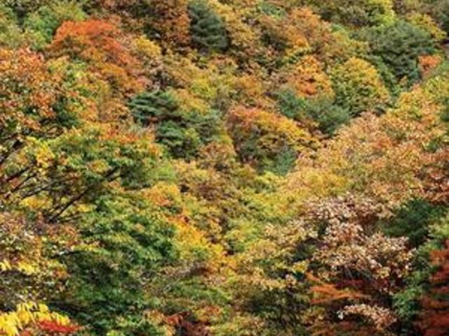 월간산 추천, 11월에 <strong>걷기</strong> 좋은 길 4선