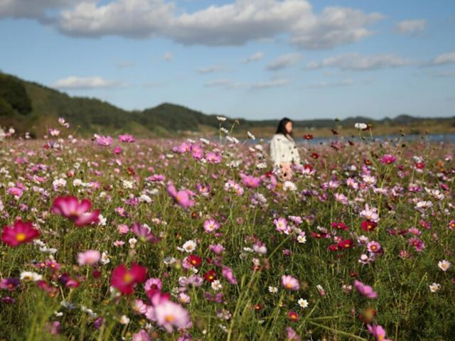 습지엔 생명, 사람엔 평화…수몰지·갯벌의 ‘위대한 탄생’