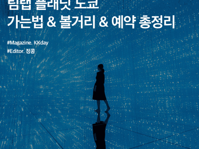 <strong>도쿄</strong> <strong>여행</strong> 필수 코스 :: 팀랩 플래닛 <strong>도쿄</strong> 예약 / 가는법 / 볼거리 총정리