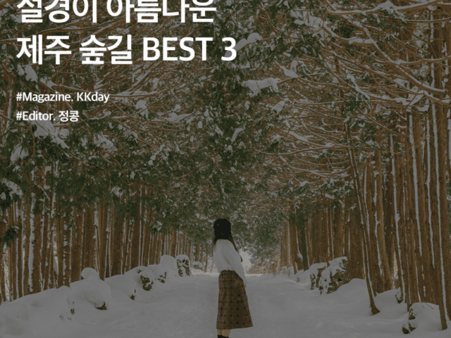 제주도 <strong>가볼만한</strong>곳 :: 설경이 아름다운 제주 숲길 BEST 3