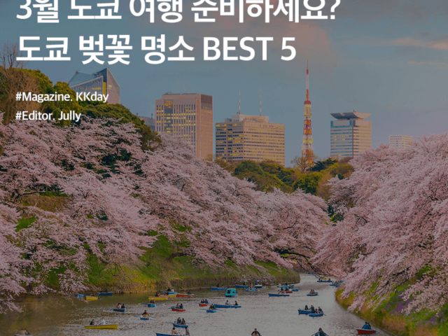 <strong>3월</strong> 도쿄 여행을 준비한다면 주목! 도쿄 벚꽃 명소 4