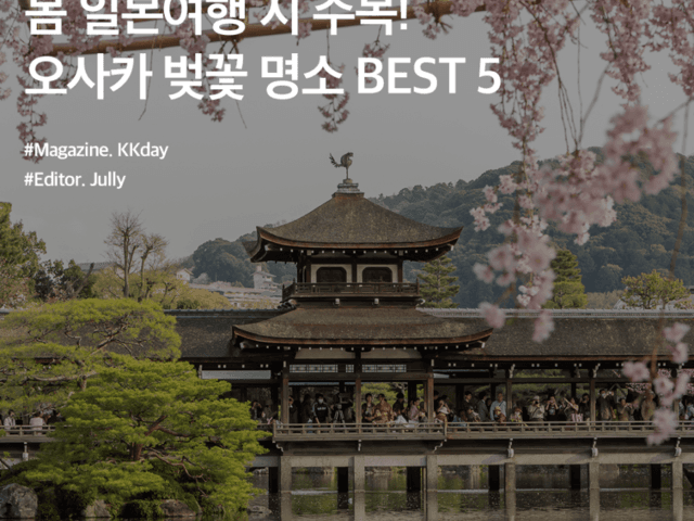 봄 일본여행 시 주목! 오사카 벚꽃 명소 BEST 5