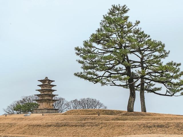 봄이 먼저 내려앉은 곳, 익산