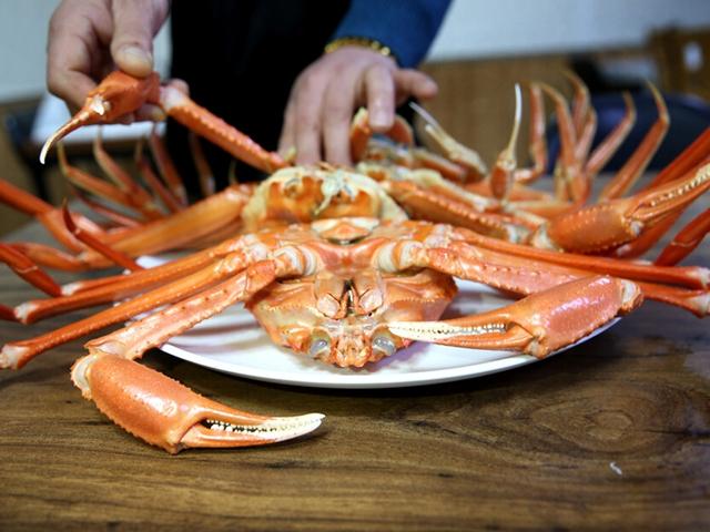 울진 바닷속 백두대간에서 달콤한 대게살이 차오른다