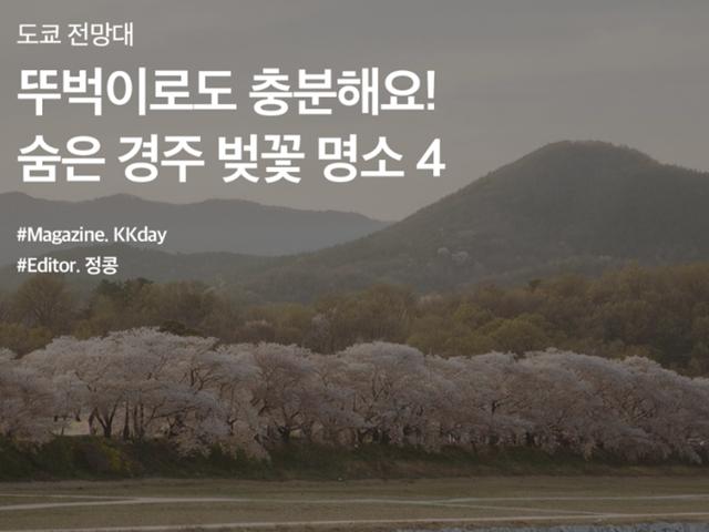 뚜벅이로도 충분해요! 숨은 경주 벚꽃 명소 BEST 4