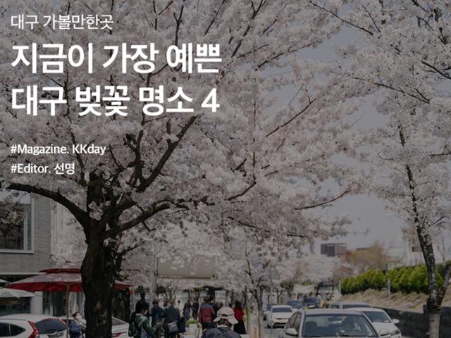 대구 현지인 추천! 지금이 가장 예쁜 대구 <strong>벚꽃</strong> <strong>명소</strong> 4