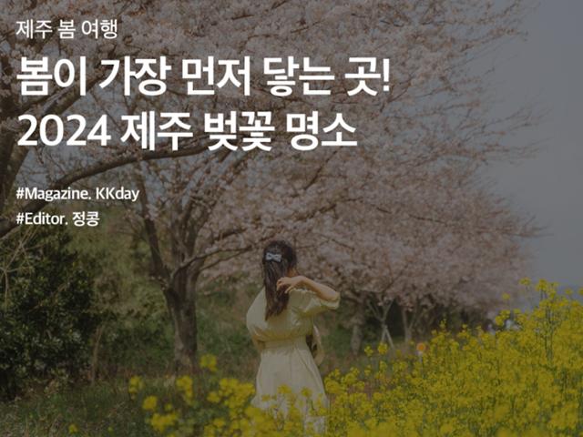 <strong>봄</strong>이 가장 먼저 닿는 곳! 2024 제주 벚꽃 <strong>명소</strong> BEST 4