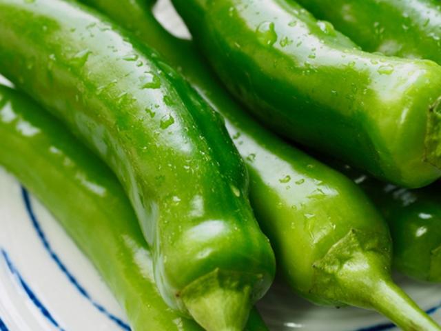 백종원도 깜짝 놀랐다…팽이버섯·<strong>청양고추</strong>도 로열티를?