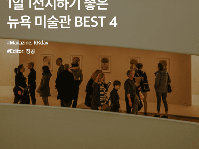1일 1전시하기 좋은 뉴욕 <strong>미술관</strong> 박물관 BEST 4