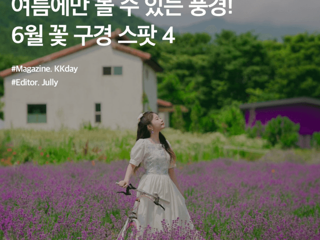 6월 국내여행지 추천 :: <strong>수국</strong>, 라벤더, 데이지 등 여름꽃 스팟 4