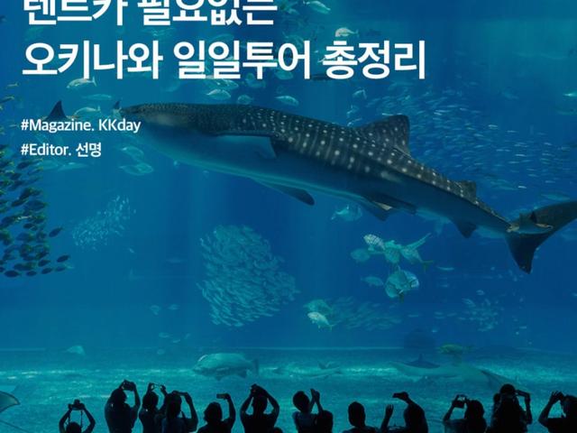 렌트카 필요없는 <strong>오키나와</strong> 일일투어 3가지 비교 및 총정리