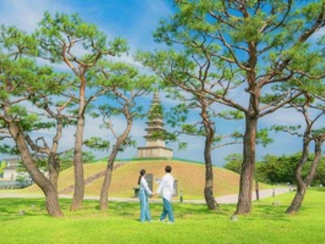<strong>충주</strong>시 홍보맨 ‘김선태 주무관’이 강추하는 <strong>충주</strong> 당일치기 핵심 여행코스