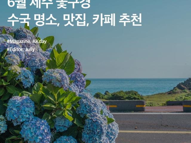 <strong>6월</strong> 제주도 <strong>가볼만한곳</strong> :: 초여름 향기 가득! 수국 명소, 맛집, 카페 추천