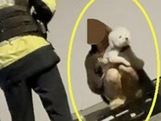‘만취 벤츠 유명女’ 징역 15년 구형…“반성문 75번” 뒤늦게 선처 호소