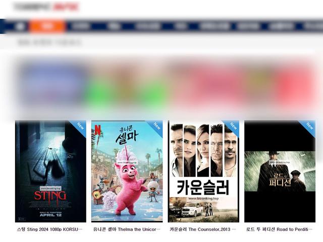 '영상 68만 개 유포'…퇴근 후 불법 사이트 운영한 개발자