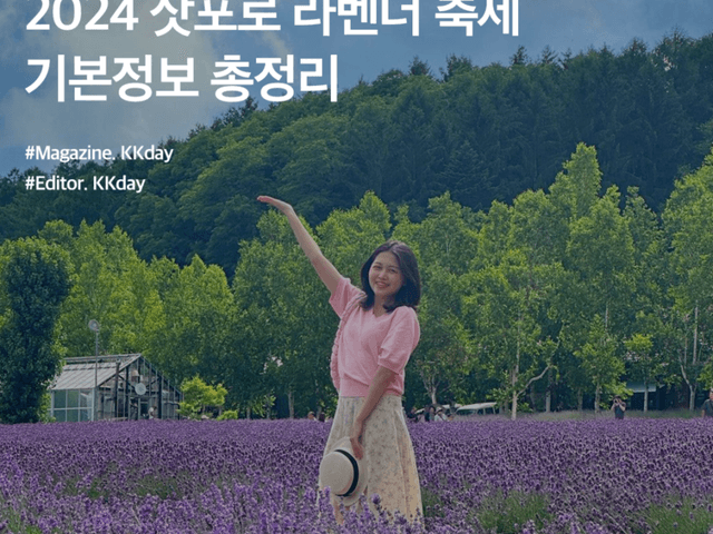 2024 <strong>삿포로</strong> 라벤더 축제 개화시기 가는법 투어 장소 총정리