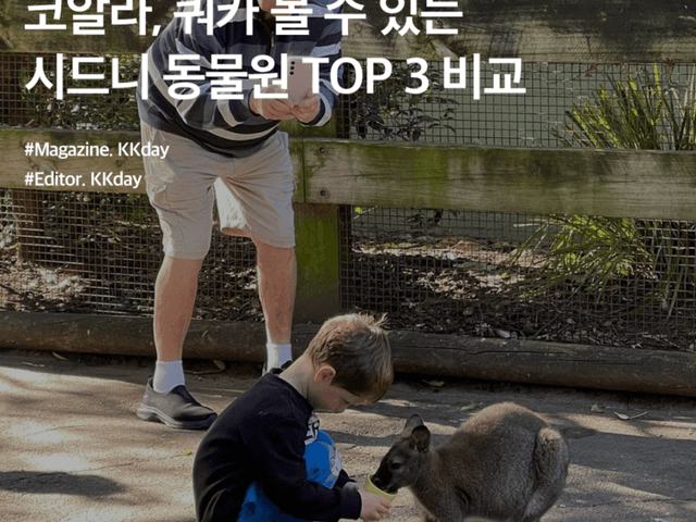 코알라, 쿼카 볼 수 있는 시드니 동물원 TOP 3 비교 총정리