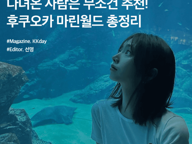 다녀온 사람은 무조건 추천! 후쿠오카 마린월드 볼거리, 예약, 티켓 할인 정보