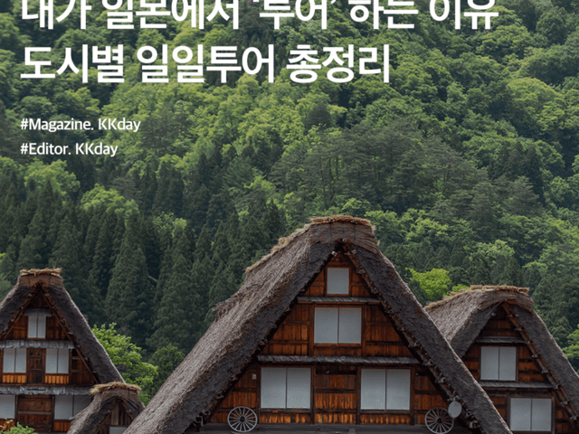일본 여행지 추천 :: 하루쯤 투자하기 좋은 가성비 일본 투어 BEST 6