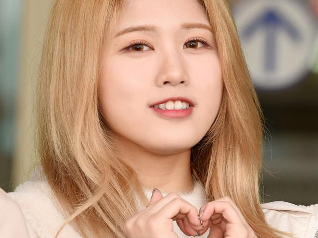 '유흥업소 <strong>근무</strong>' 하루, 사과했지만…'해체' 네이처 이미지 어쩌나