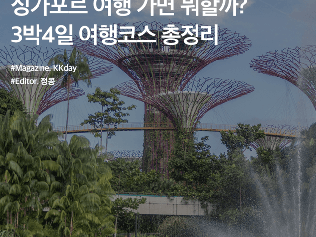 <strong>싱가포르</strong> 3박4일 여행 추천 코스 :: 쇼핑부터 야경까지 총정리