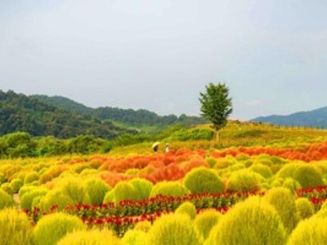 "올가을, 여기는 꼭 가봐야 해" <strong>9월</strong> 가볼 만한 곳 BEST 7