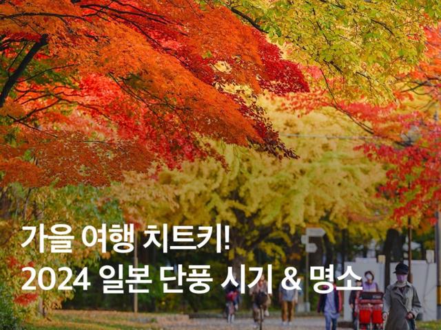 2024 일본 <strong>단풍</strong>시기 :: 가을 여행 치트키! 도시별 <strong>단풍</strong> 명소 추천