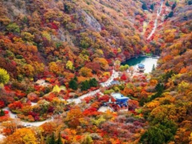 <strong>단풍</strong> 보며 걸어요, 올가을 트레킹 코스 3선