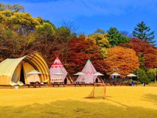 "가을 <strong>캠핑</strong> 어디로 가야 할지 모르겠다면 주목!" 화려한 단풍뷰가 매력적인 국내 <strong>캠핑</strong> 여행지