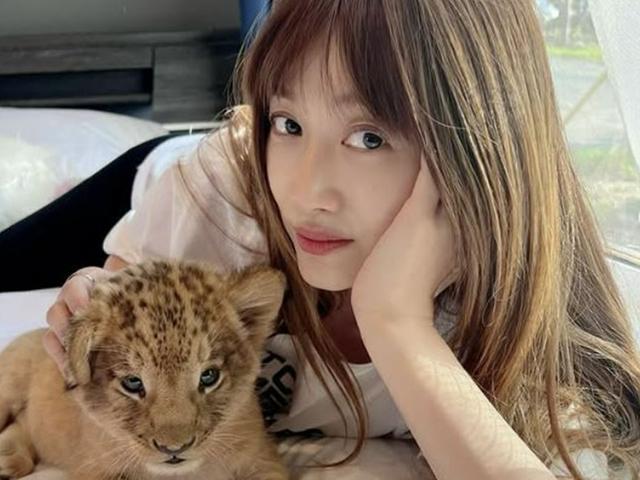 김영아, 두번째 이혼…<strong>일본</strong>인 재력가와 파경