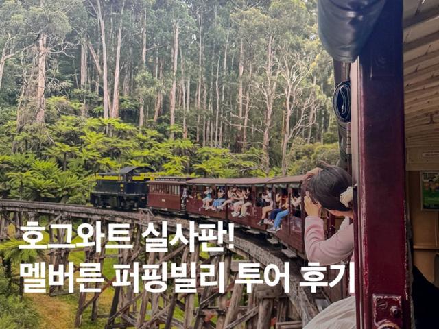 호그와트 실사<strong>판</strong>! 호주 멜버른 퍼핑빌리 투어 예약 찐후기
