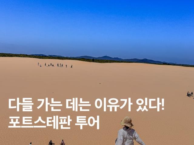 호주 <strong>시드니</strong> 포트스테판 투어 :: 와이너리, 돌고래 크루즈까지! 후회 없는 후기