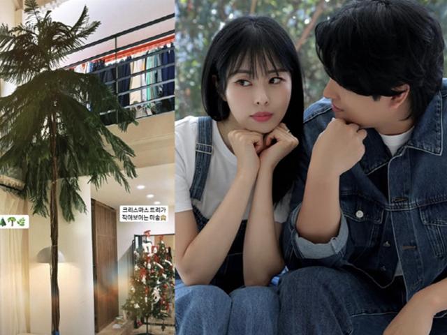 ♥재혼에 '건물 재개발' 겹경사 맞았다는 서동주, '<strong>2층</strong>짜리 신혼집'에 거대 플렌테리어 자랑