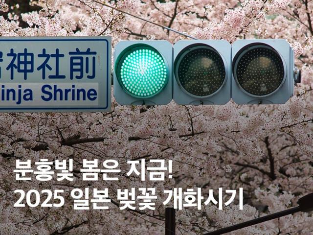 2025 일본 벚꽃 개화시기, 주요 도시 <strong>명소</strong> 및 구경 팁 총정리