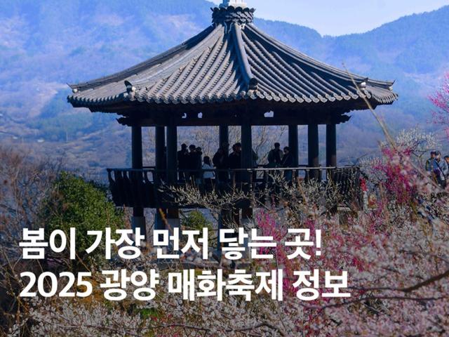 2025 광양 매화<strong>축제</strong> 일정 기간 셔틀버스 주차장 먹거리 총정리