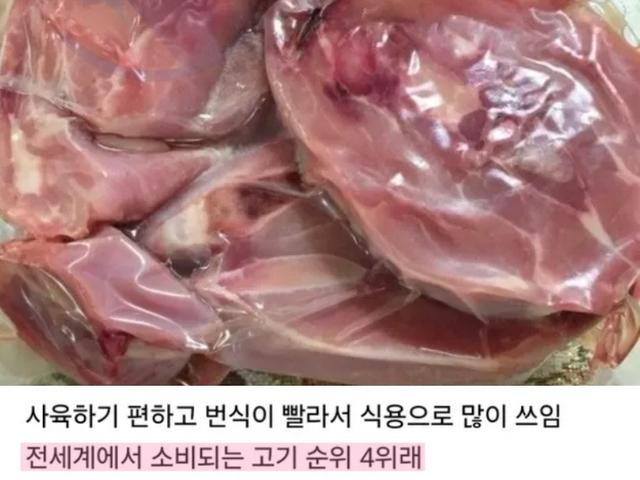 한국에서 거의 안 먹는데 해외에서는 수요가 엄청 높은 <strong>고기</strong>