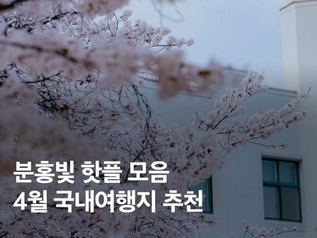 4월 <strong>국내</strong><strong>여행지</strong> <strong>추천</strong> :: 만개한 벚꽃 가득! 분홍빛 핫플 BEST 4