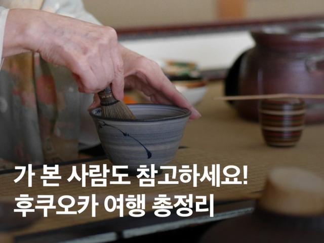 2025 <strong>후쿠오카</strong> 여행 총정리 :: 투어, 관광, 명소, 맛집, 숙박 추천