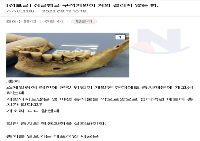 구석기인들에게 <strong>충치</strong>가 거의 없었던 이유