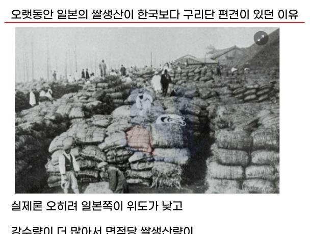 오랫동안 일본의 <strong>쌀</strong>생산이 한국보다 싸구려란 편견이 있던 이유..
