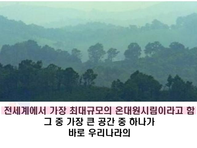 유일하게 <strong>지구</strong>에서 57년간 사람의 발길이 닿지 않은 곳